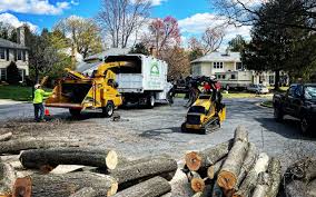 Roosevelt Gardens, FL Tree Removal and Landscaping Services Company